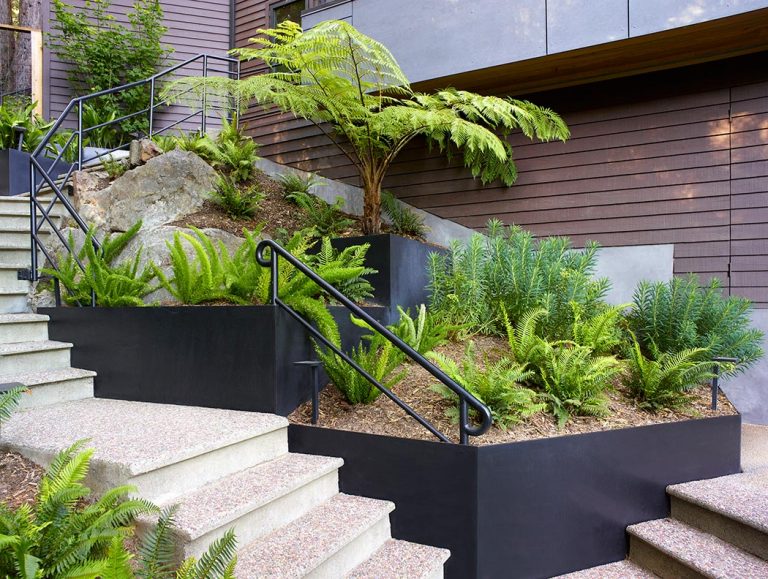 In the Redwoods Shades of Green Landscape Architecture