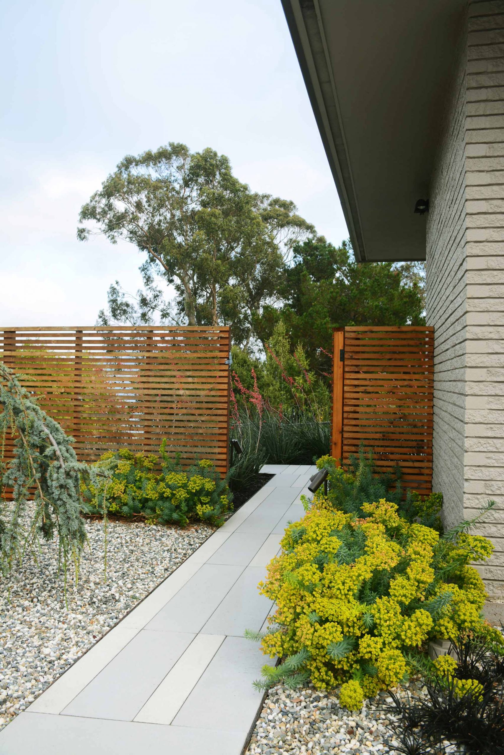 MidCentury Garden Landscape Architecture Garden Design