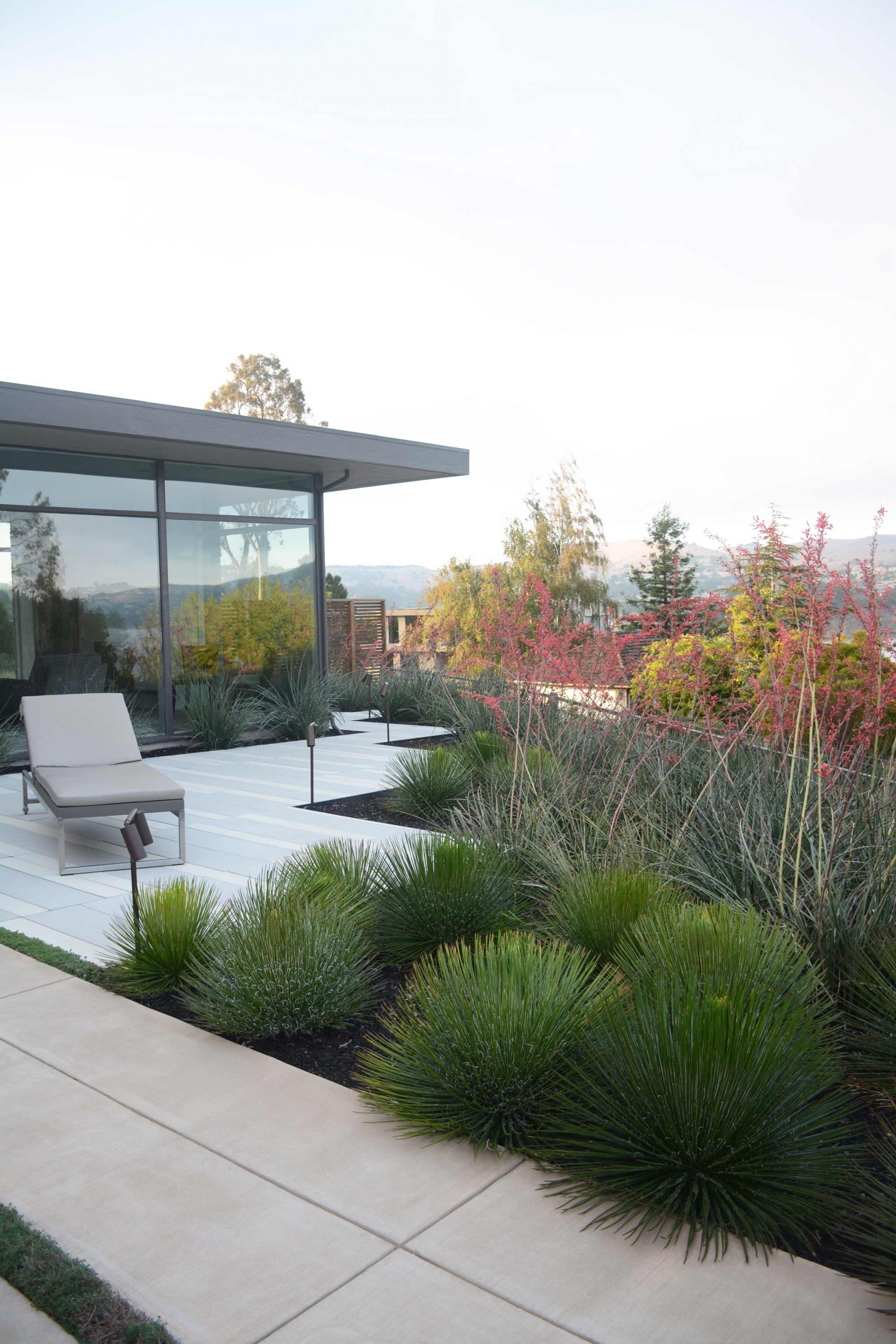 Coastal Garden overlooking the Pacific