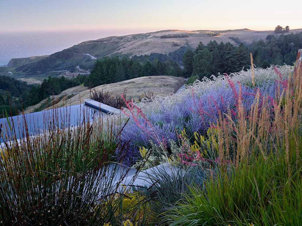 April Landscape Design Sausalito CA